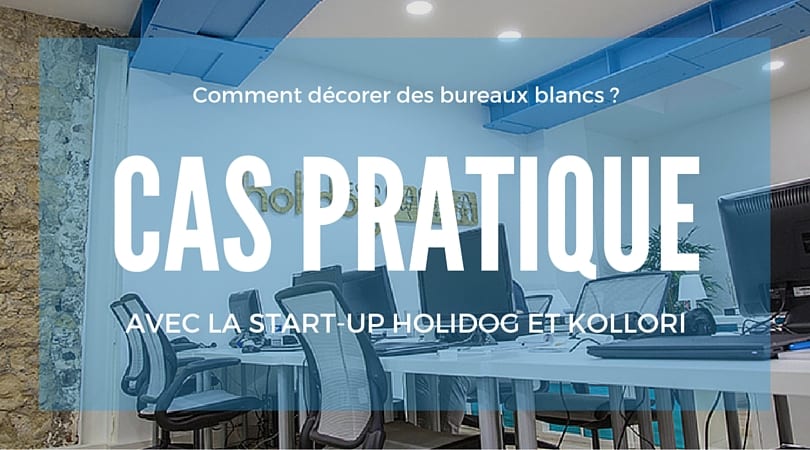 Comment décorer des bureaux blancs ? L’exemple de la start-up Holidog avec Kollori