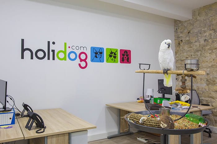 Accrochez votre logo au mur avec Kollori