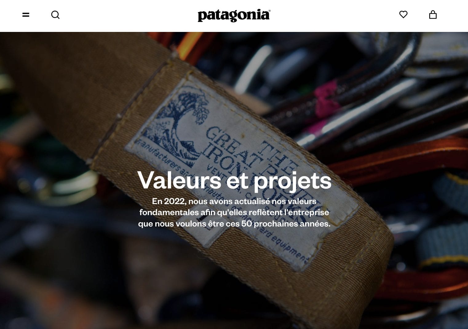 valeurs-patagonia
